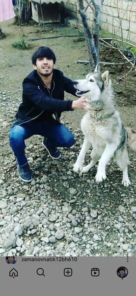  ,   Natiq, 30 ,   ,   