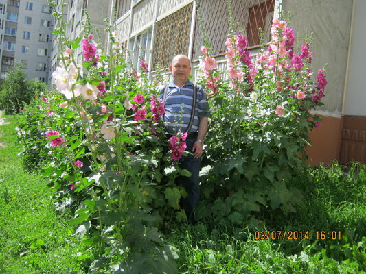  ,   , 62 ,  