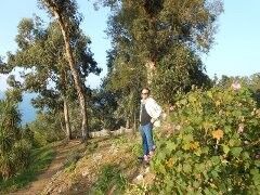  ,   Davit, 42 ,   