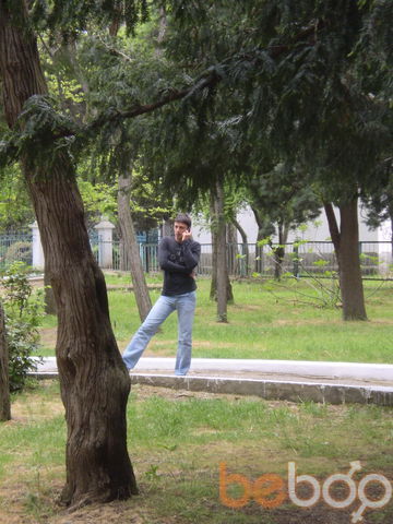  ,   VETAL, 45 ,   ,   , c 
