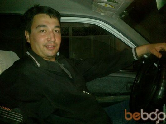  ,   Wolf, 41 ,   ,   , c , 
