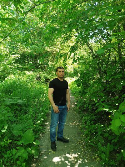  ,   Elsevar, 34 ,   ,   