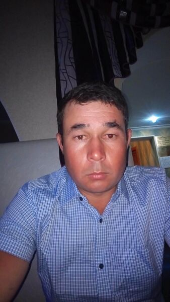  -,   , 41 ,   ,   , c 
