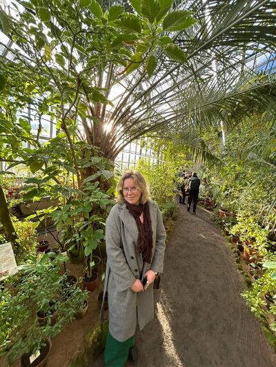  -,   , 38 ,   ,   , c 