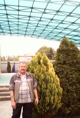  ,   , 66 ,   