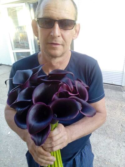  ,   , 53 ,   ,   , c 