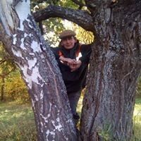  -,   , 54 ,   