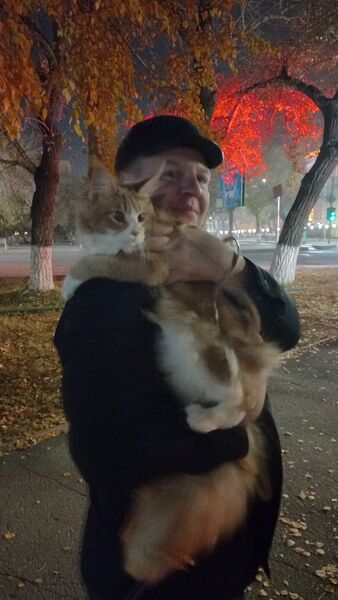  ,   , 42 ,  