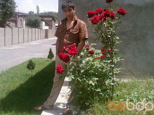  ,   DAVO, 33 ,   ,   , c 