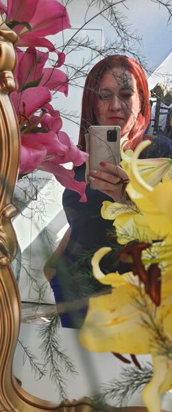  ,   , 41 ,   