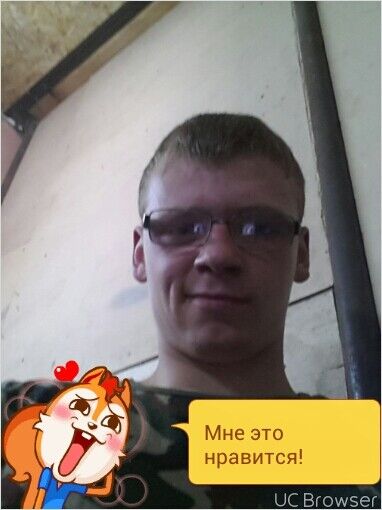  8083919  , 29 ,    