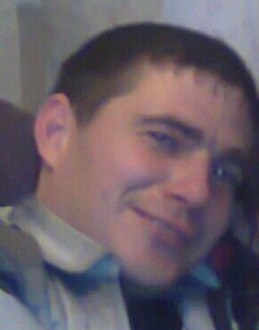  8684309  Pitbul, 40 ,    