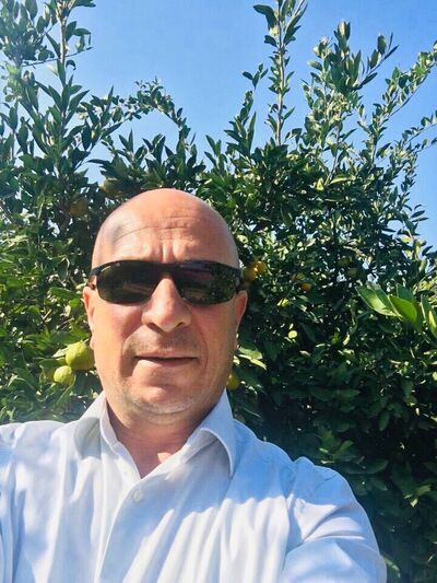  ,   Tamer, 50 ,   ,   