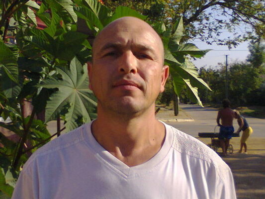  ,   , 50 ,   ,   , c 