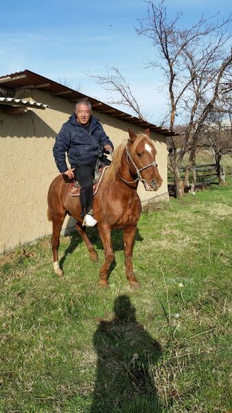  ,   York, 48 ,   