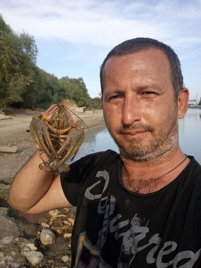  ,   , 47 ,   ,   , c 