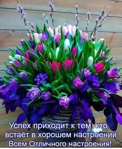  --,   , 59 ,   ,   , c 