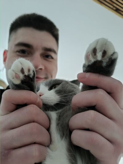  -,   , 30 ,   ,   