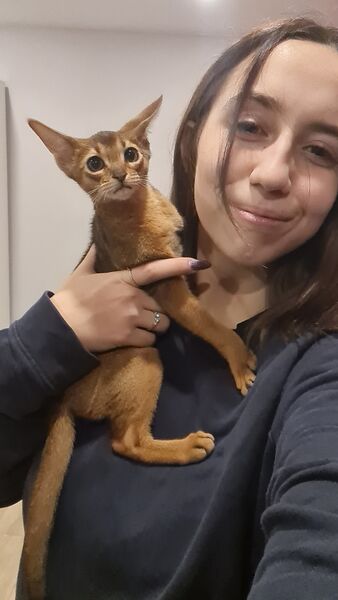  ,   , 25 ,   c 