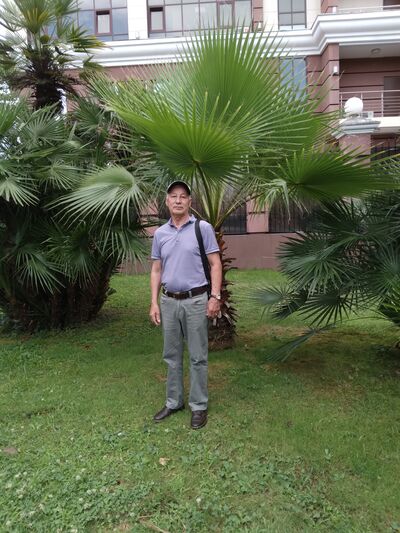   ,   , 65 ,   ,   