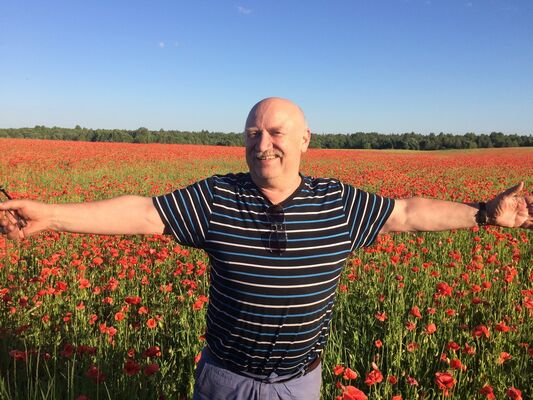  -,   , 71 ,   ,   , c 