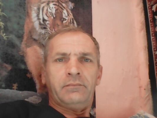  ,   , 54 ,   