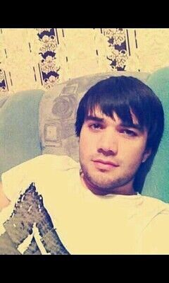  ,   , 33 ,   