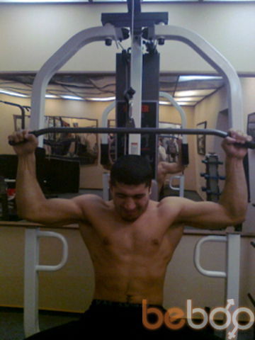  ,   Dildod, 41 ,   