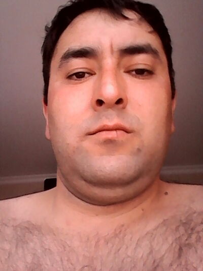  ,   , 41 ,   