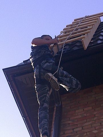  19537989  , 41 ,    --