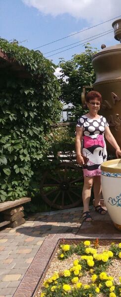  ,   , 62 ,   c 