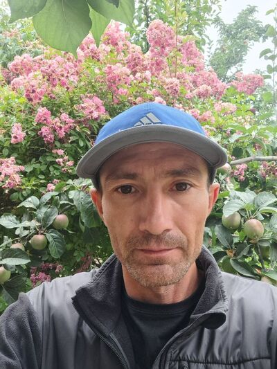 ,   , 42 ,   ,   