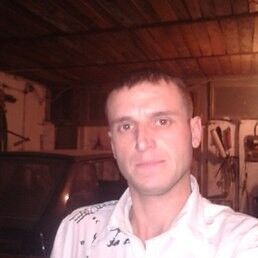  ,   , 44 ,   