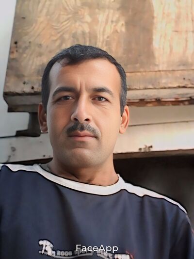  ,   Elman, 49 ,   ,   