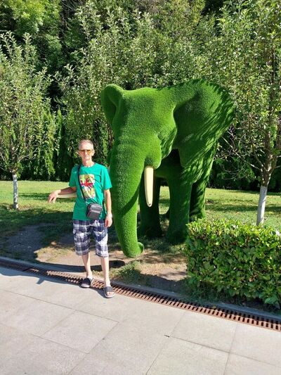  ,   , 55 ,   c 