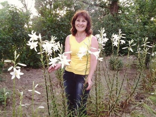  ,   , 61 ,  
