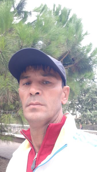  ,   SALAMON, 40 ,   ,   , 