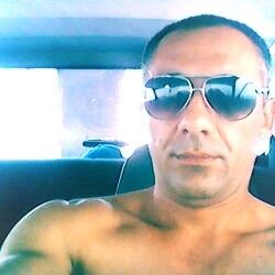  ,   Zamir, 46 ,   ,   , c 