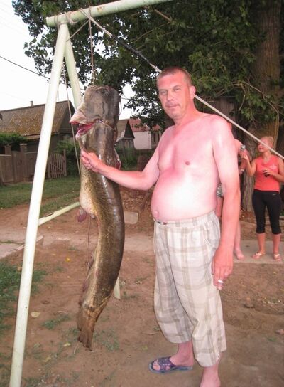  ,   , 56 ,   ,   