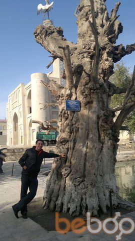  ,   Timur, 44 ,   