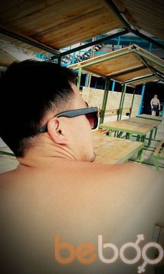  ,   Aristo, 34 ,   