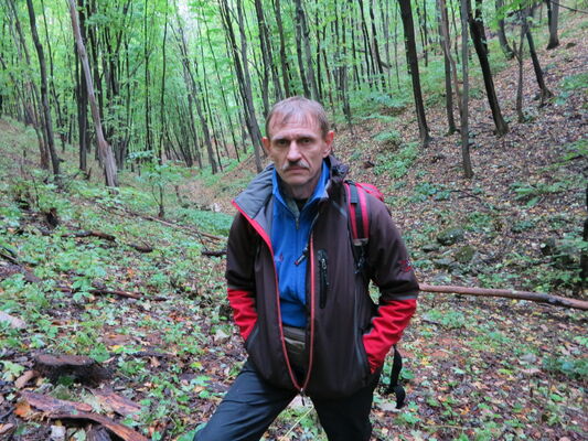  ,   , 65 ,   ,   , c 