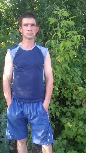   ,   , 49 ,   