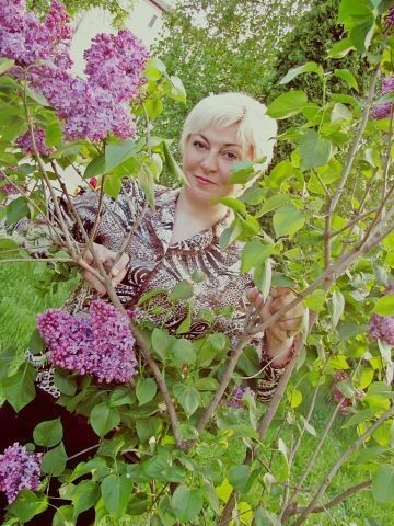  ,   , 56 ,   