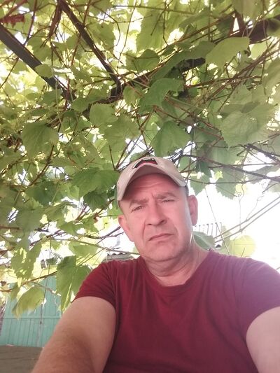  ,   , 55 ,   