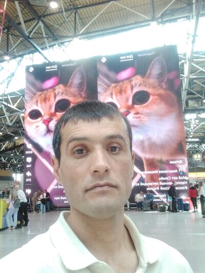  -,   , 42 ,   ,   