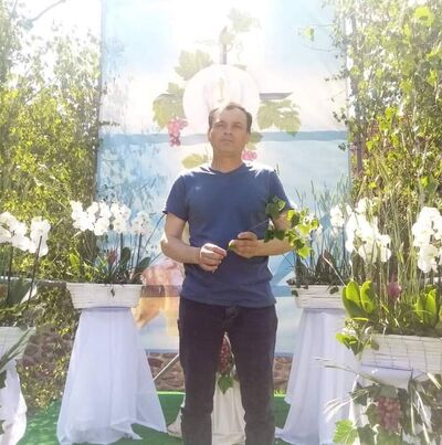  ,   Nicu, 54 ,   ,   , c , 