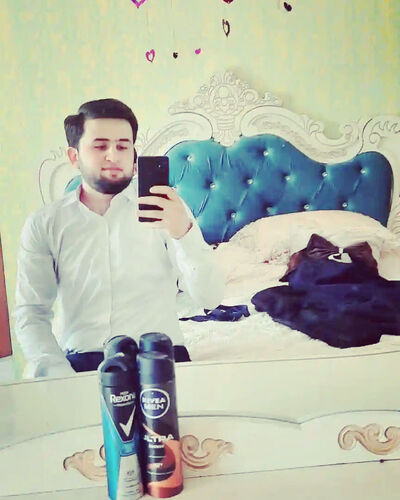  -,   MAGA, 24 ,   ,   