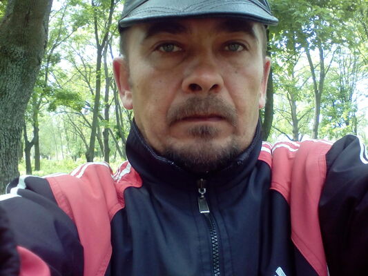  ,   , 53 ,  