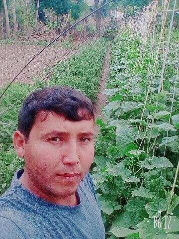  ,   , 32 ,   ,   
